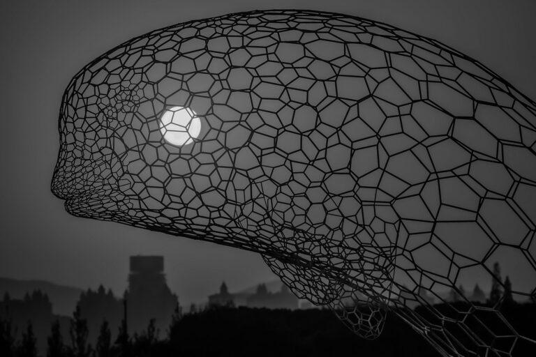 Moments in Black and white - Finless Porpoise